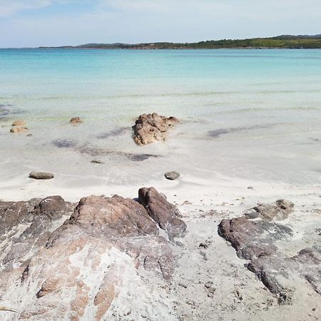 Ampio Trilocale Sul Golfo Di Marinella Βίλα Santa Marinella Εξωτερικό φωτογραφία